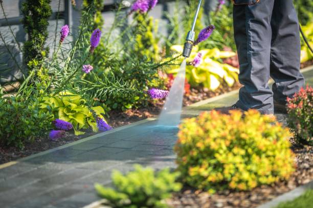 Best Spring Cleaning  in Elkton, MD